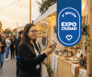 Banner Municipalidad Dengue- Lateral